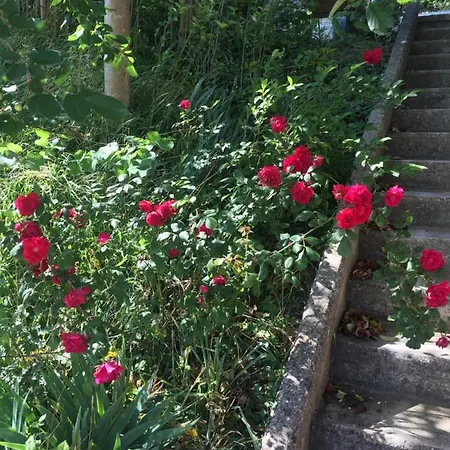 Ca Del Vento 3* Urbino