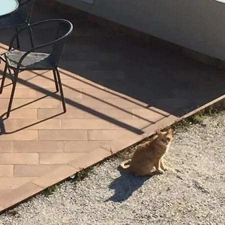 Alojamento de Acomodação e Pequeno-almoço Cá Del Vento 3*