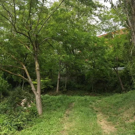 Cá Del Vento 3* Urbino