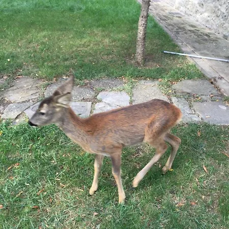 Ca Del Vento 3* Urbino