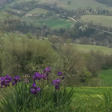 Ca Del Vento Panzió Urbino