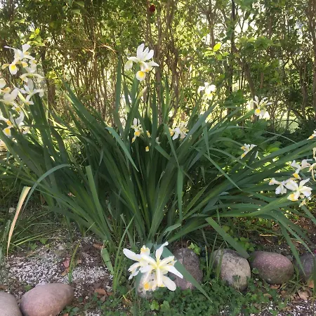 Alojamento de Acomodação e Pequeno-almoço Cá Del Vento
