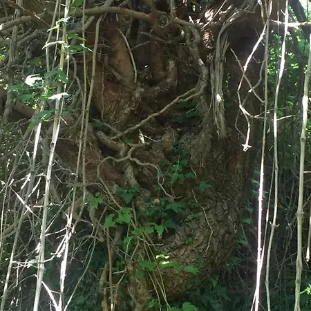 Alojamento de Acomodação e Pequeno-almoço Cá Del Vento Urbino