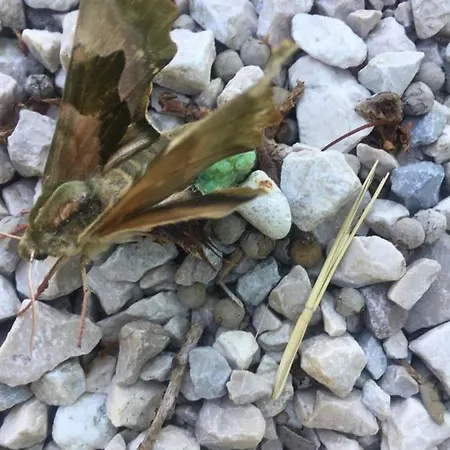 Bed & Breakfast Ca Del Vento 3*