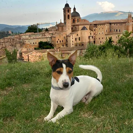 Ca Del Vento 3*