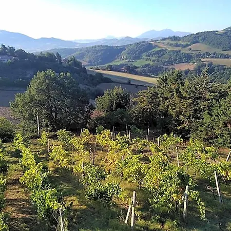 Cá Del Vento